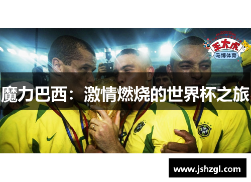 魔力巴西：激情燃烧的世界杯之旅
