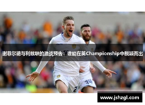 谢菲尔德与利兹联的激战预告：谁能在英Championship中脱颖而出